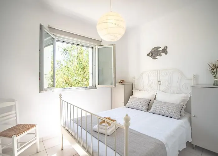 Callistemon ヴィラ