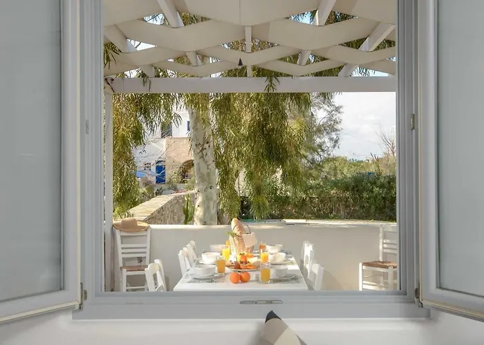 Callistemon ステリダ