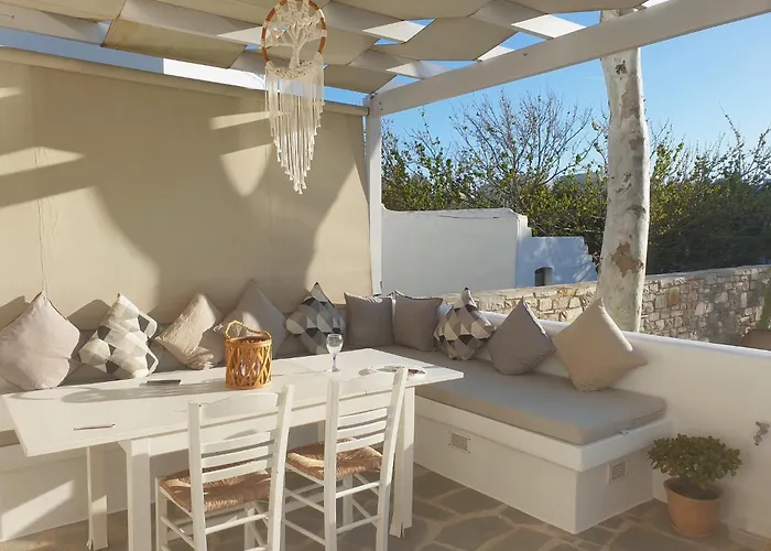 Callistemon ステリダ