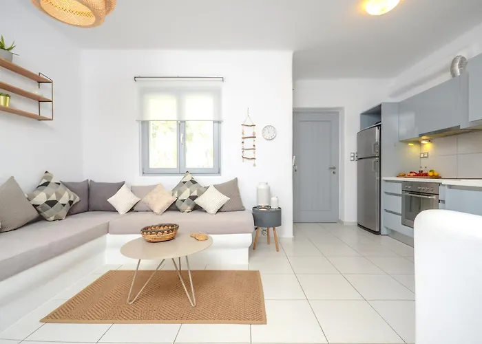 Callistemon 斯泰里达